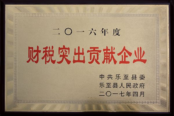 公司連續(xù)十年榮獲“財(cái)稅突出貢獻(xiàn)企業(yè)”獎(jiǎng)