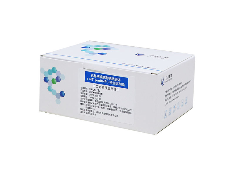 Amino-terminal pro-brain natriuretic peptide (NT-proBNP) detection kit (fluorescence immunochromatography)