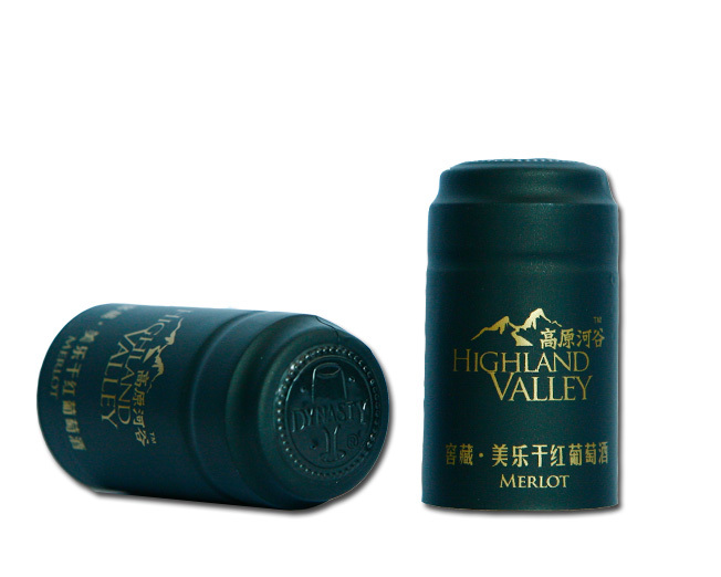 王朝胶帽