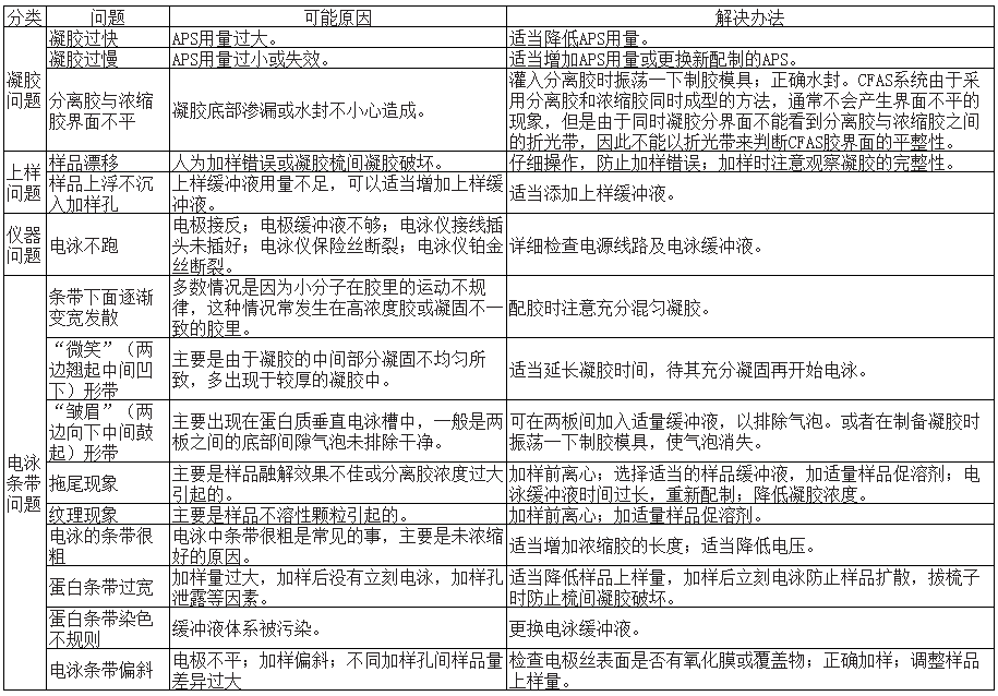 米鼠 米鼠