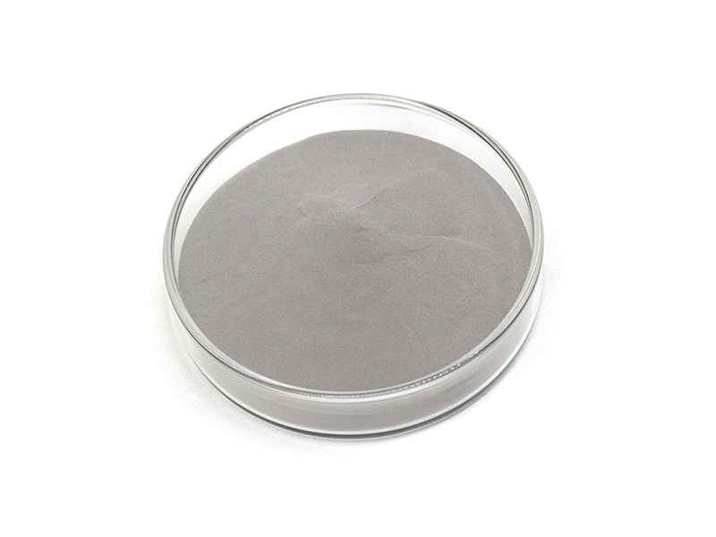 304L