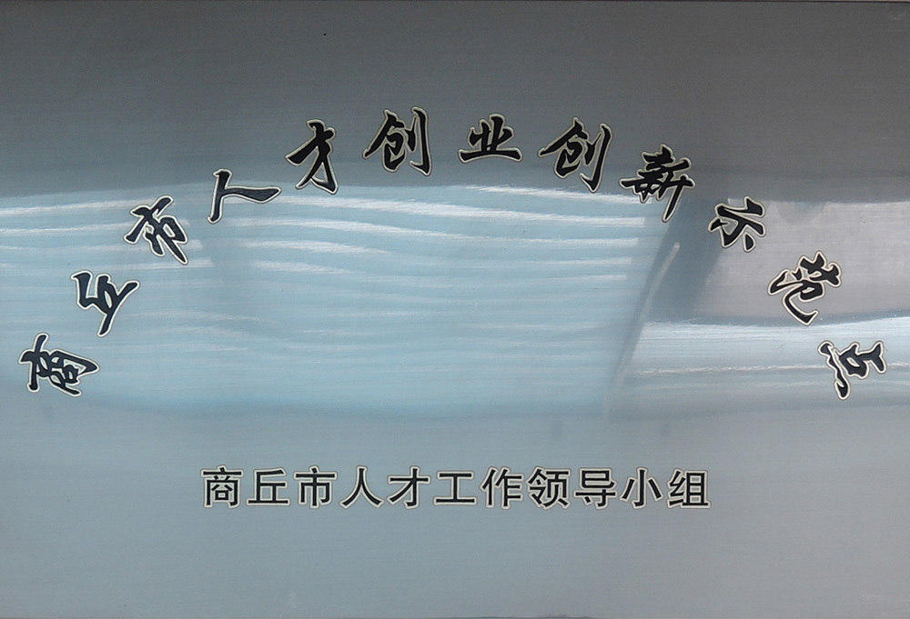 商丘市人才创业创新示范点