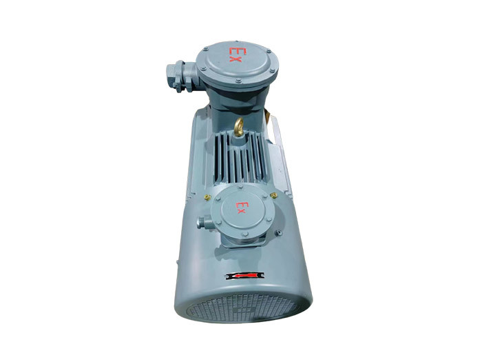 【深度解讀】粉塵環(huán)境安全守護(hù)者：三相異步防爆電機(jī)的應(yīng)用與優(yōu)勢