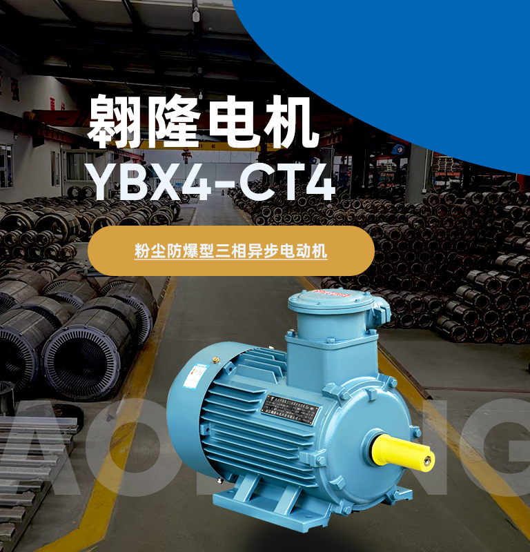 隔離防爆三相異步電機工廠——安全與效率的雙重守護者