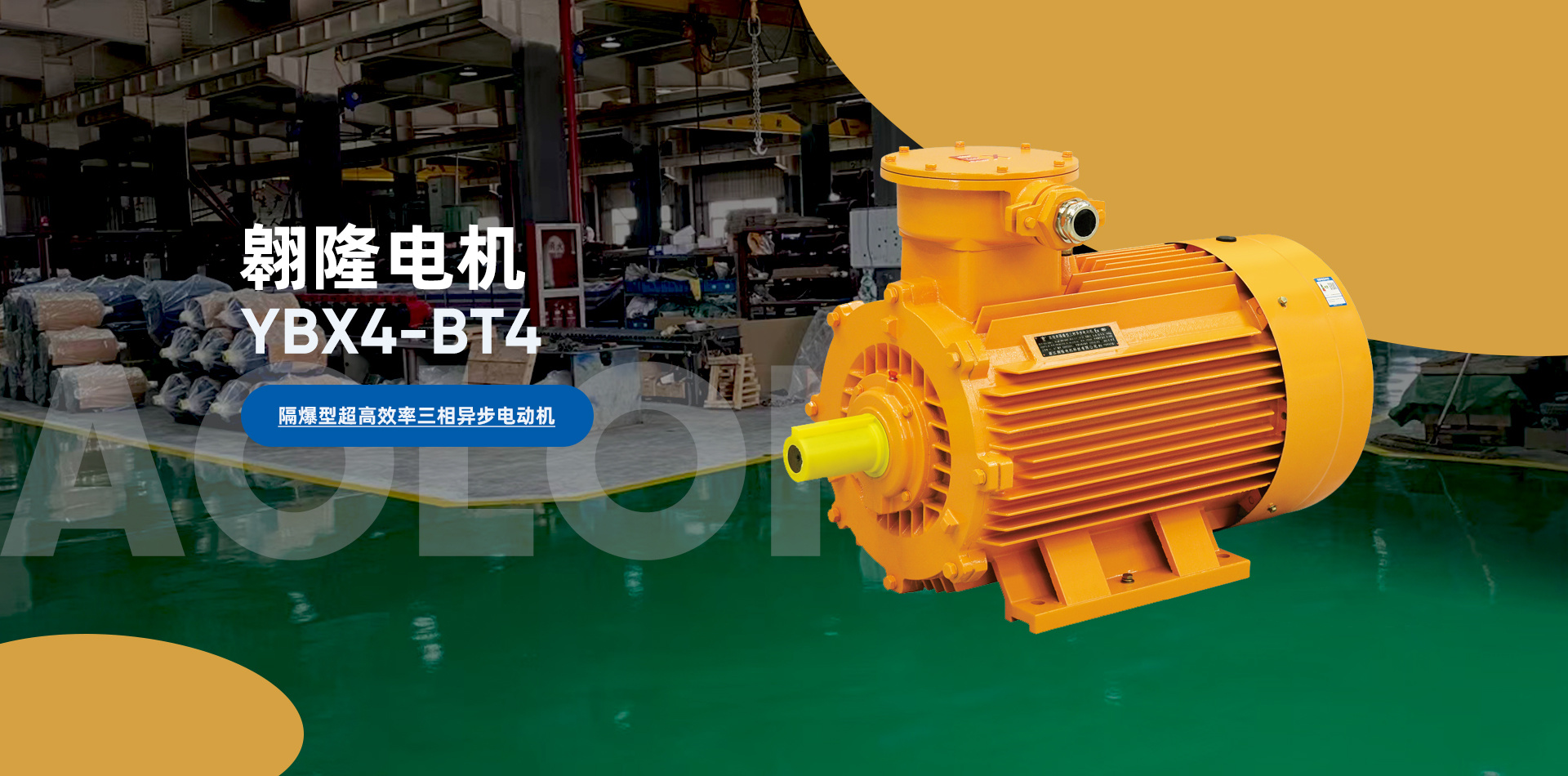 深入介紹粉塵防爆三相異步電機(jī)的功能