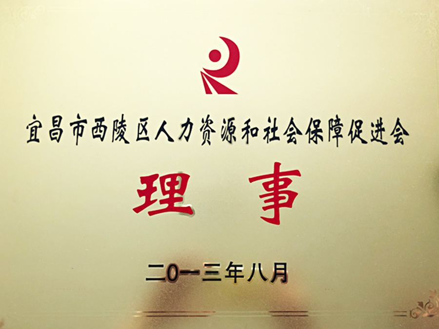 宜昌市西陵區(qū)人力資源和社會保障促進(jìn)會理事