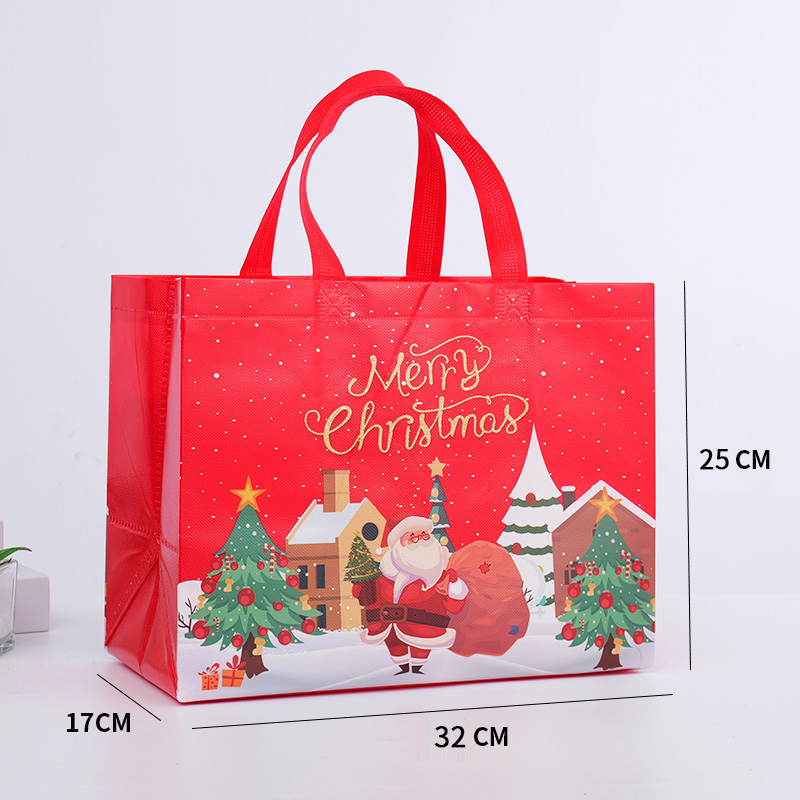 Christmas spot bag