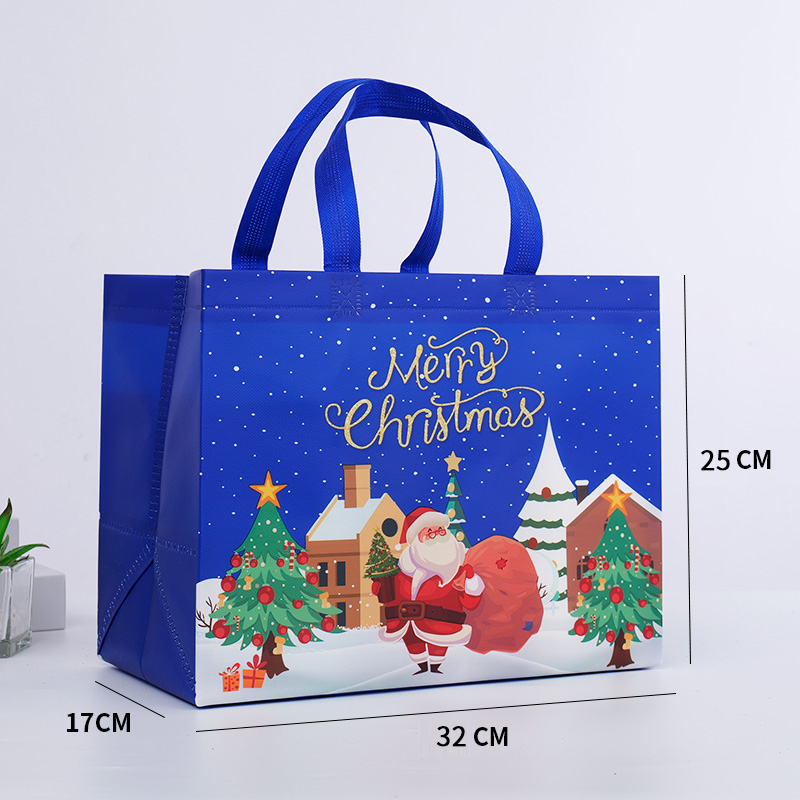 Christmas spot bag
