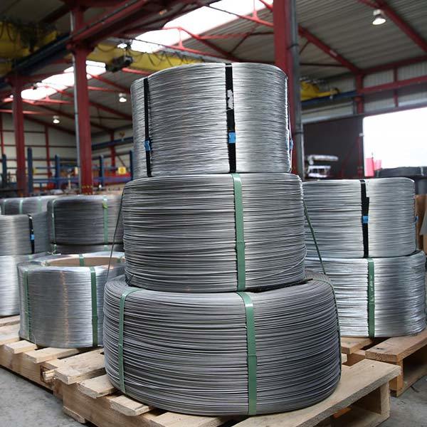 SAE1065 Wire Rod