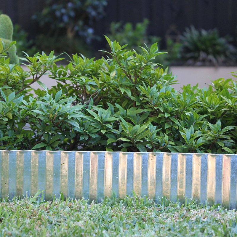China Customized Garden Edging Border Galvanized Steel