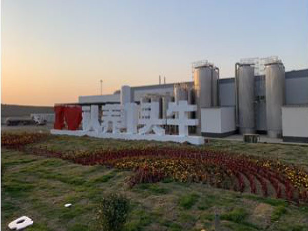 案例二  某牛奶飲品工廠設(shè)計(jì)落地