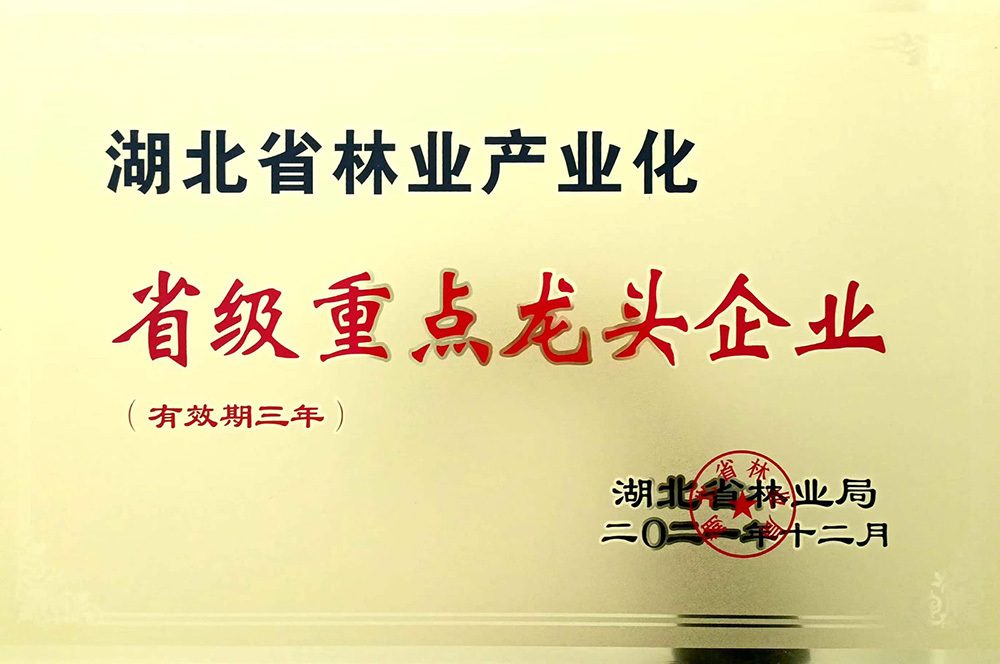 2021年度省級林業(yè)龍頭企業(yè)