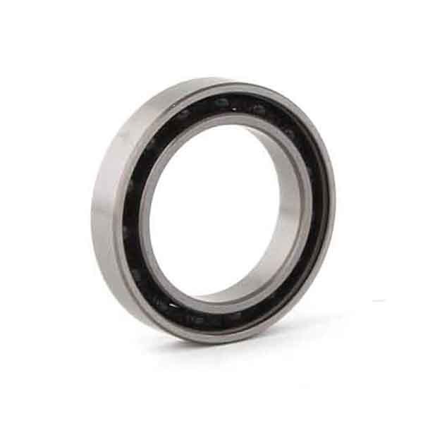 Hybrid ceramic bearings