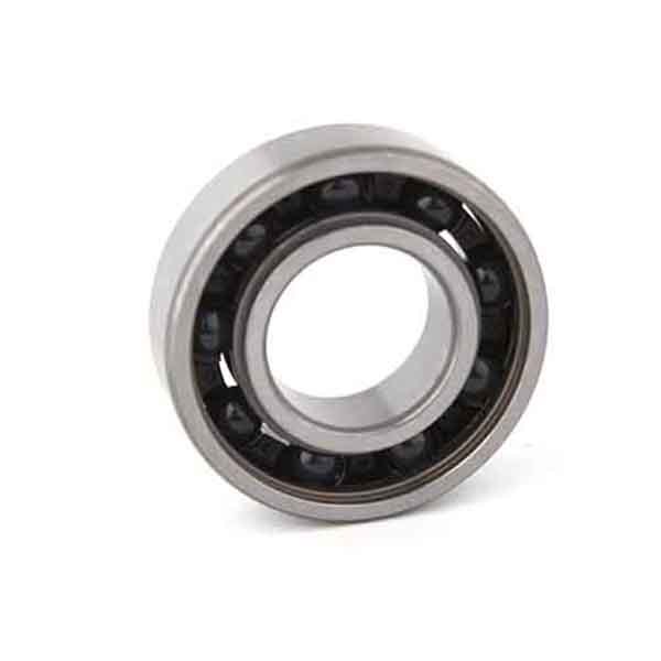 Hybrid ceramic bearings