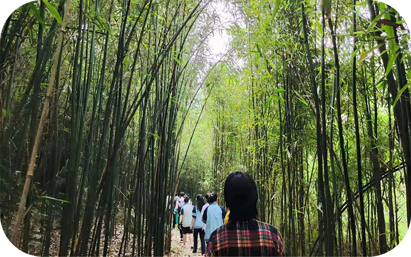 左江花山