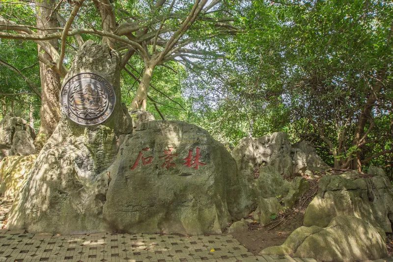 崇左市壯族博物館