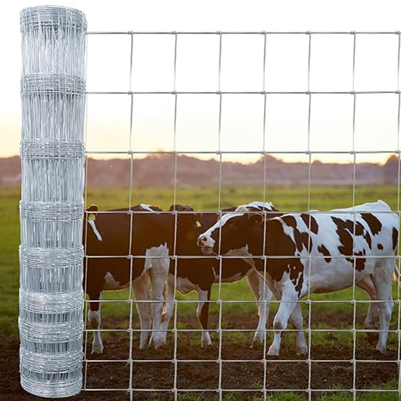 High Security Livestock fence galvanized wire cattle fence on farm for animal