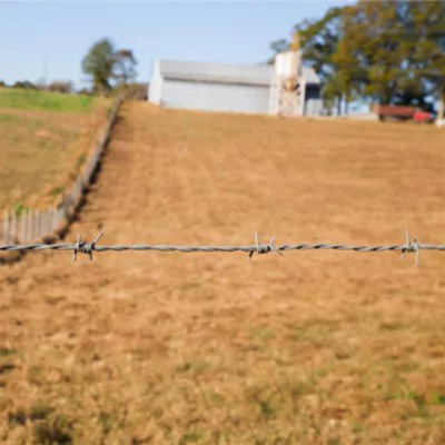 Factory Directly Sell galvanized barbed wire 100m，250m for fence barbed wire fence roll