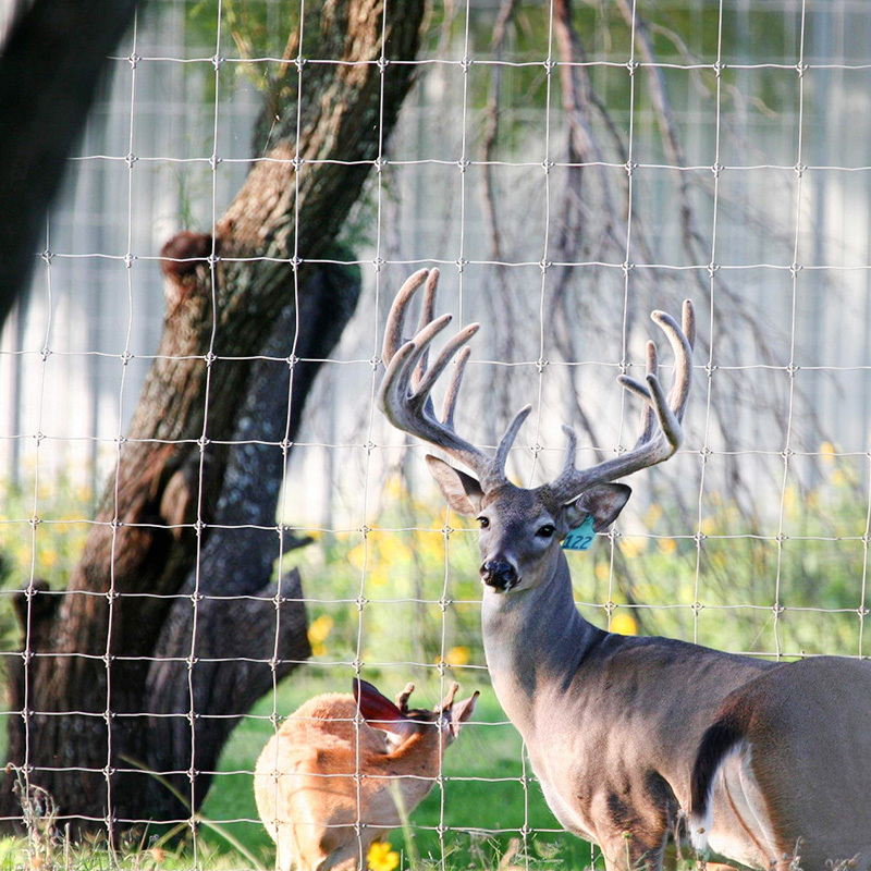 High quality farm fence wind-resistant cattle livestock fence deer fence