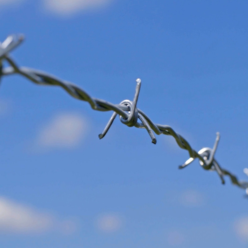 Hot dipped galvanized barbed wire 500m per roll Prison barbed wire fence