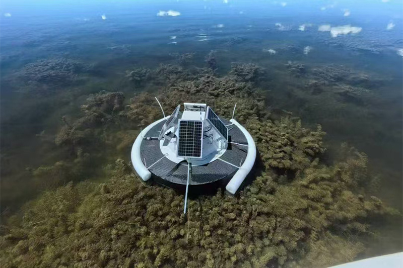 水面自动冒泡监测