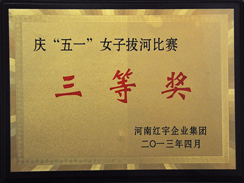 2013年慶五一女子拔河比賽獎