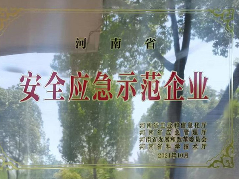 安全應急示范企業