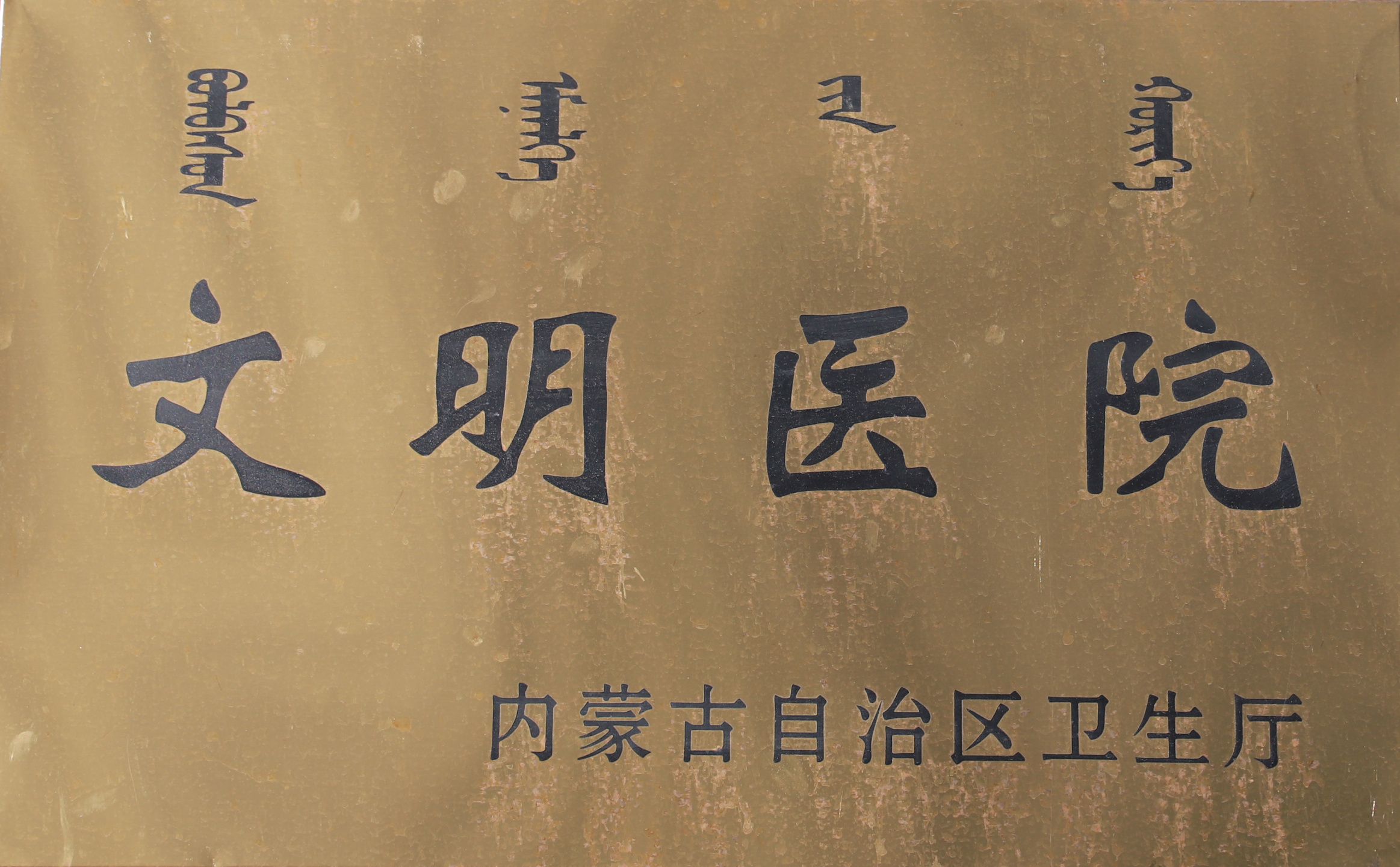 內(nèi)蒙古自治區(qū)文明醫(yī)院