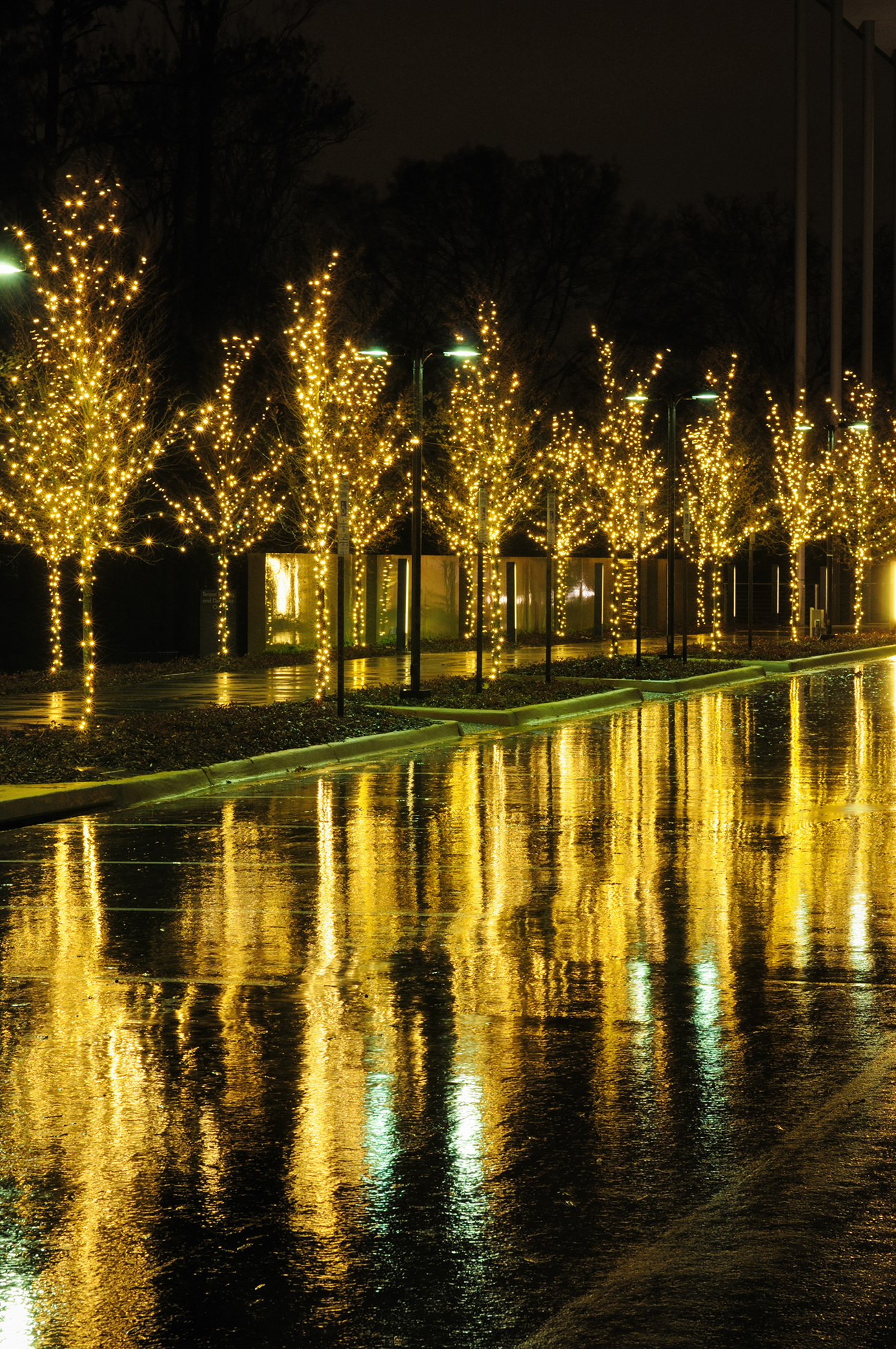 How to Use Low Voltage Landscape Lighting for Seasonal Decor: Illuminate Your Outdoor Space Creatively