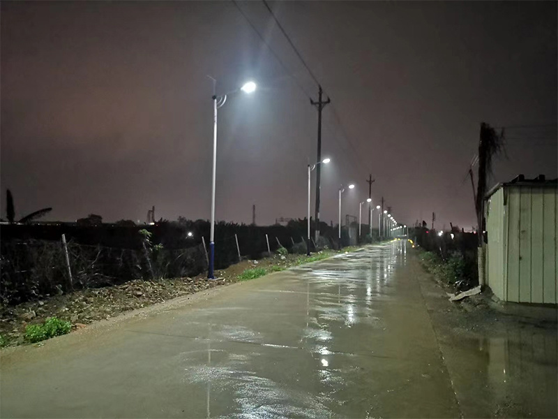 Top Features to Look for in Solar Path Lighting: A Comprehensive Guide
