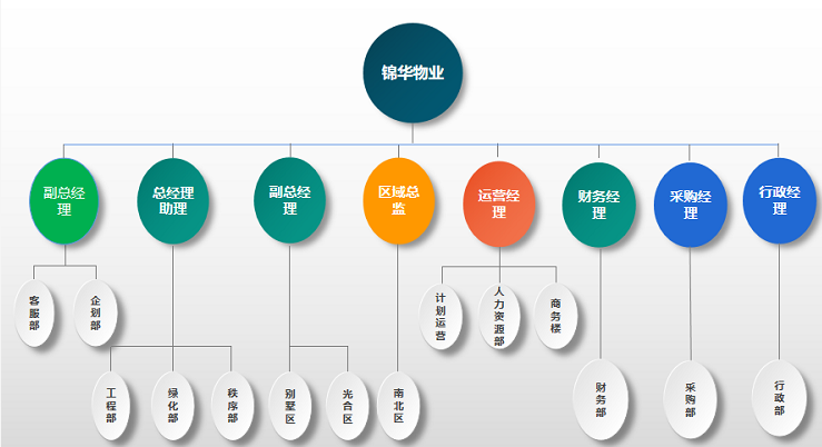 组织架构