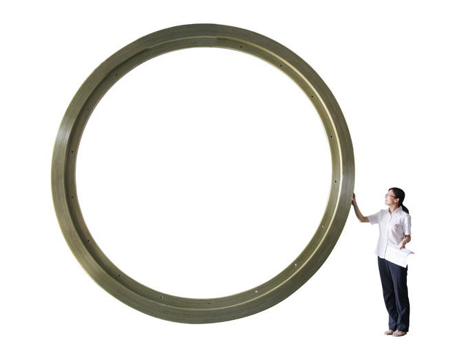 Support ring