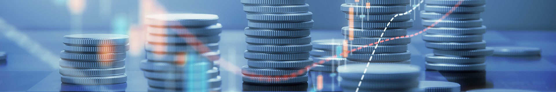 INVESTMENT AREAS