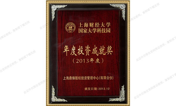 2013年“年度投资成就奖”