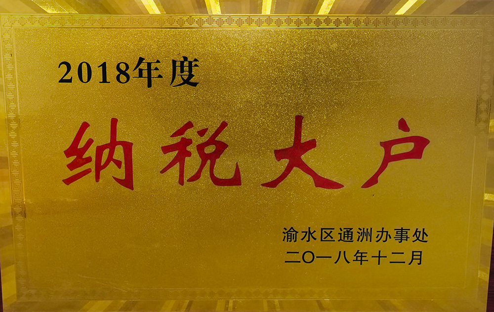 2018年度纳税大户