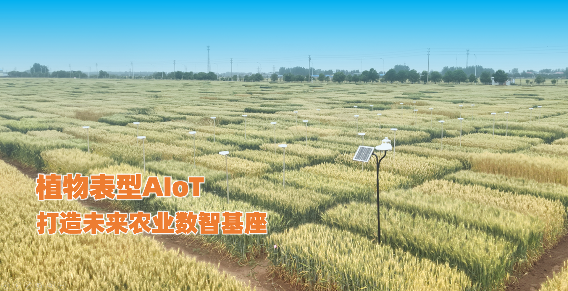 植物表型AIoT，打造未来农业数智基座