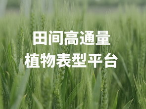 田间高通量表型平台