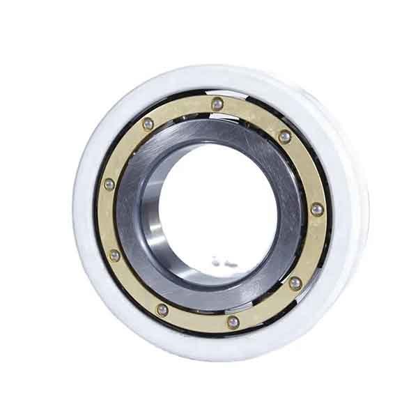 Insulated Bearings
