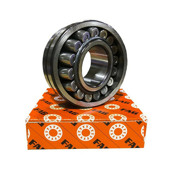 FAG Bearings