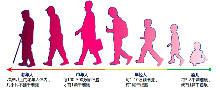 Nature：揭示隨著年齡增長促進機體癌癥發生的“罪魁禍首”