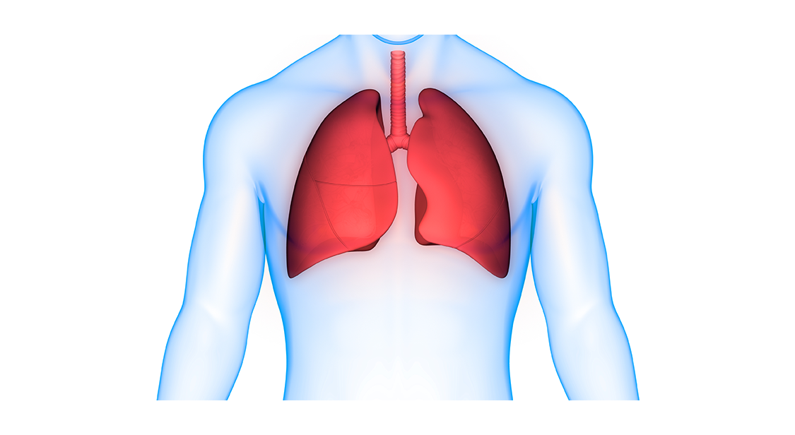 专家解读 | 间充质干细胞治疗慢性肺动脉高压的可能性