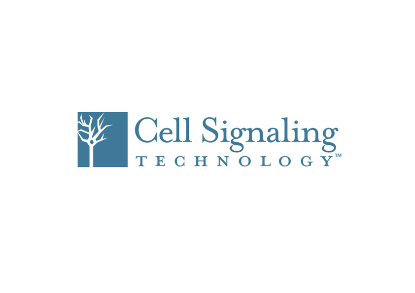 Cell Signaling Technology