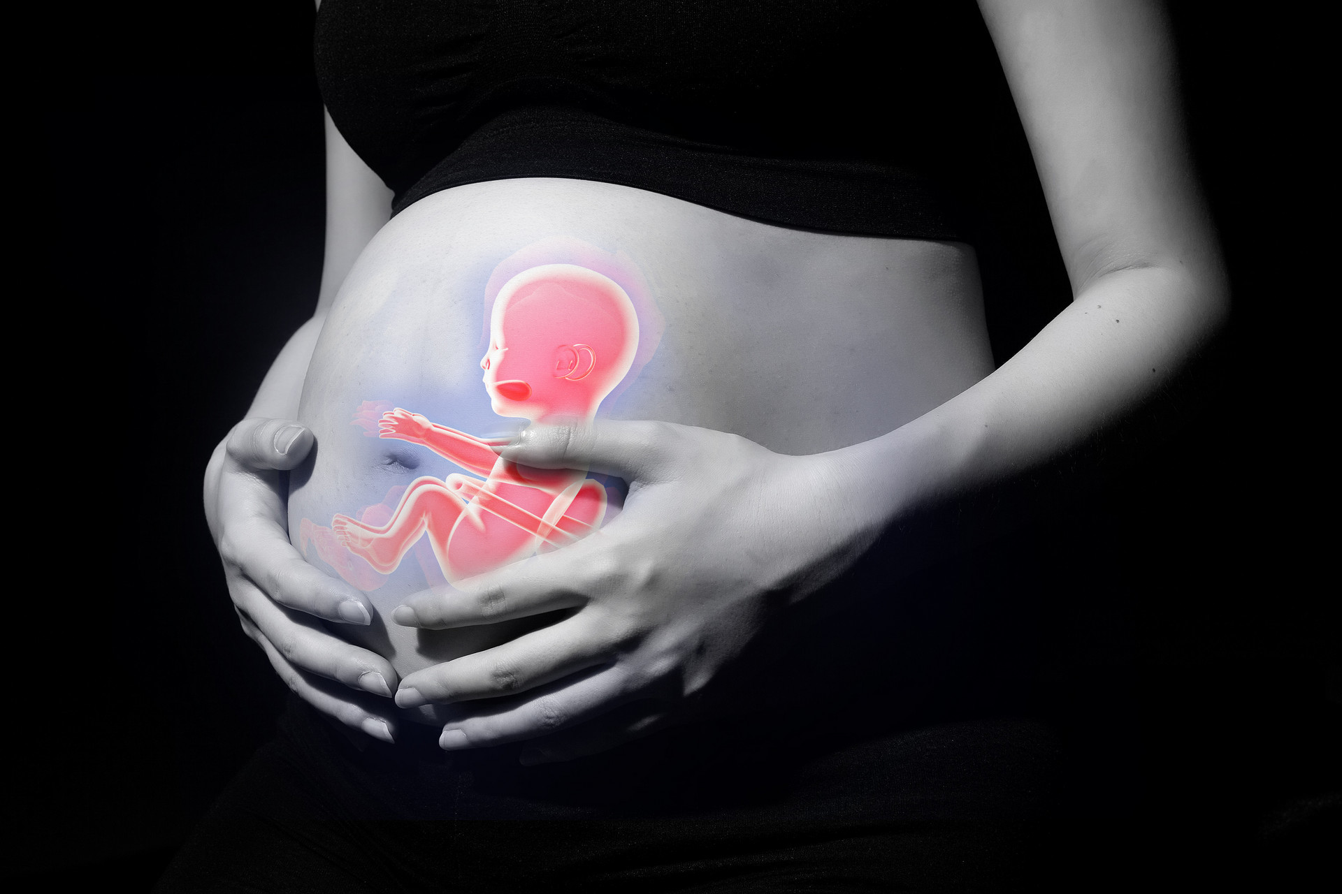 妊娠期病毒感染可通过母体免疫激活(MIA)现象增加后代患自闭症谱系障碍的可能性