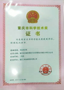 Chongqing Science and Technology Award