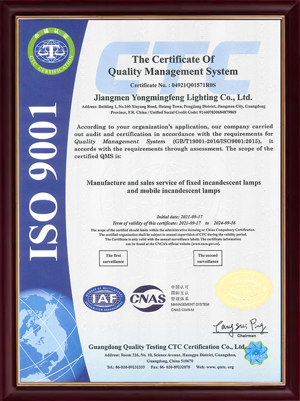 ISO 9001 英