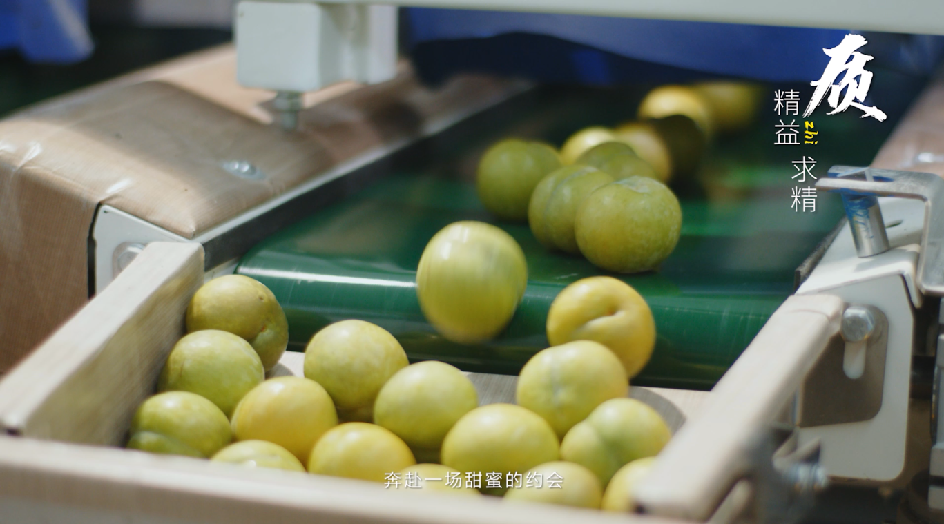 工藝流程