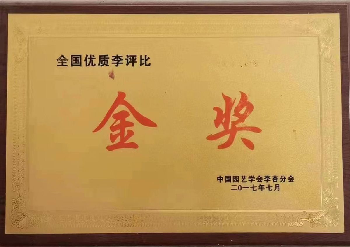 全國優質李評比金獎