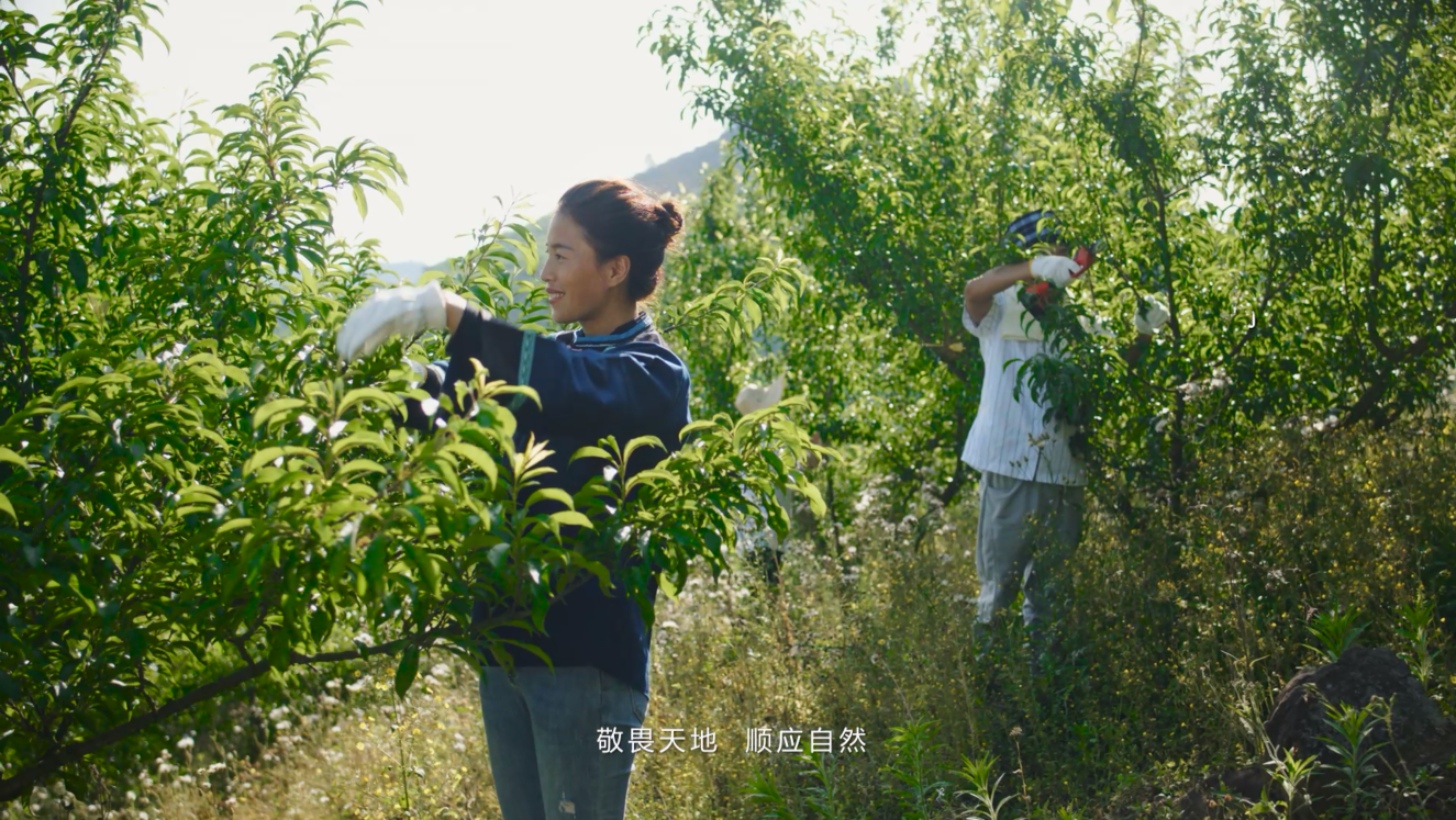 種植基地
