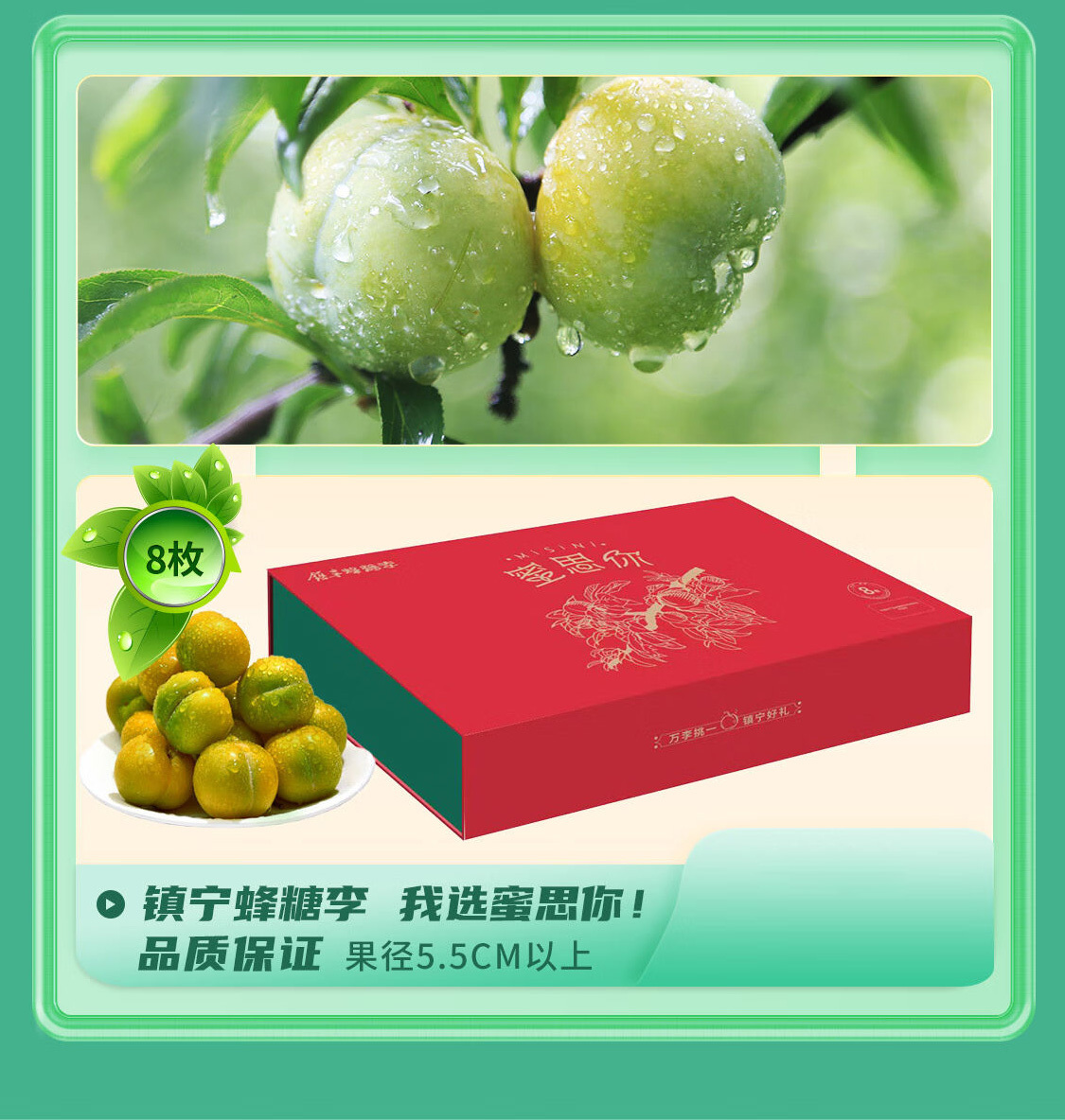 蜜思你蜂糖李 生鮮李子禮盒 果徑5.0cm以上 8枚/箱