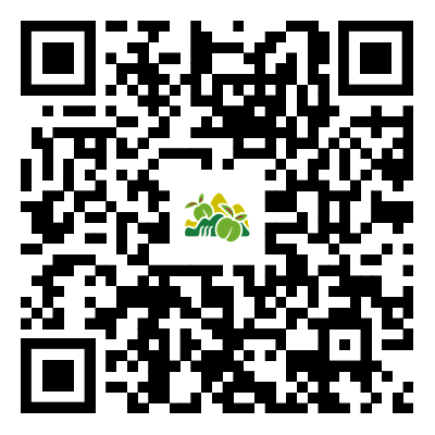 圖片名稱